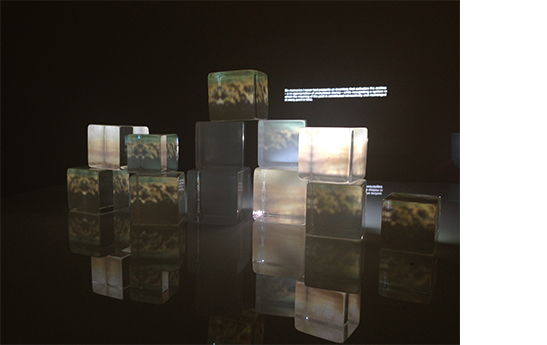 Unsolicited Memories: Archival Exercises, 2013